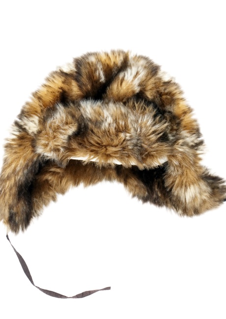 Ushanka Hat